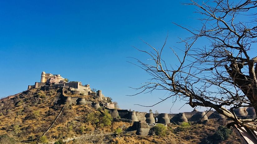 A fortress ruin perched on a rocky hill, with a bare tree in the foreground and a clear blue sky above.