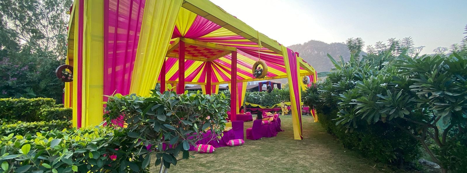 Tent with green hedges in a sunny day.