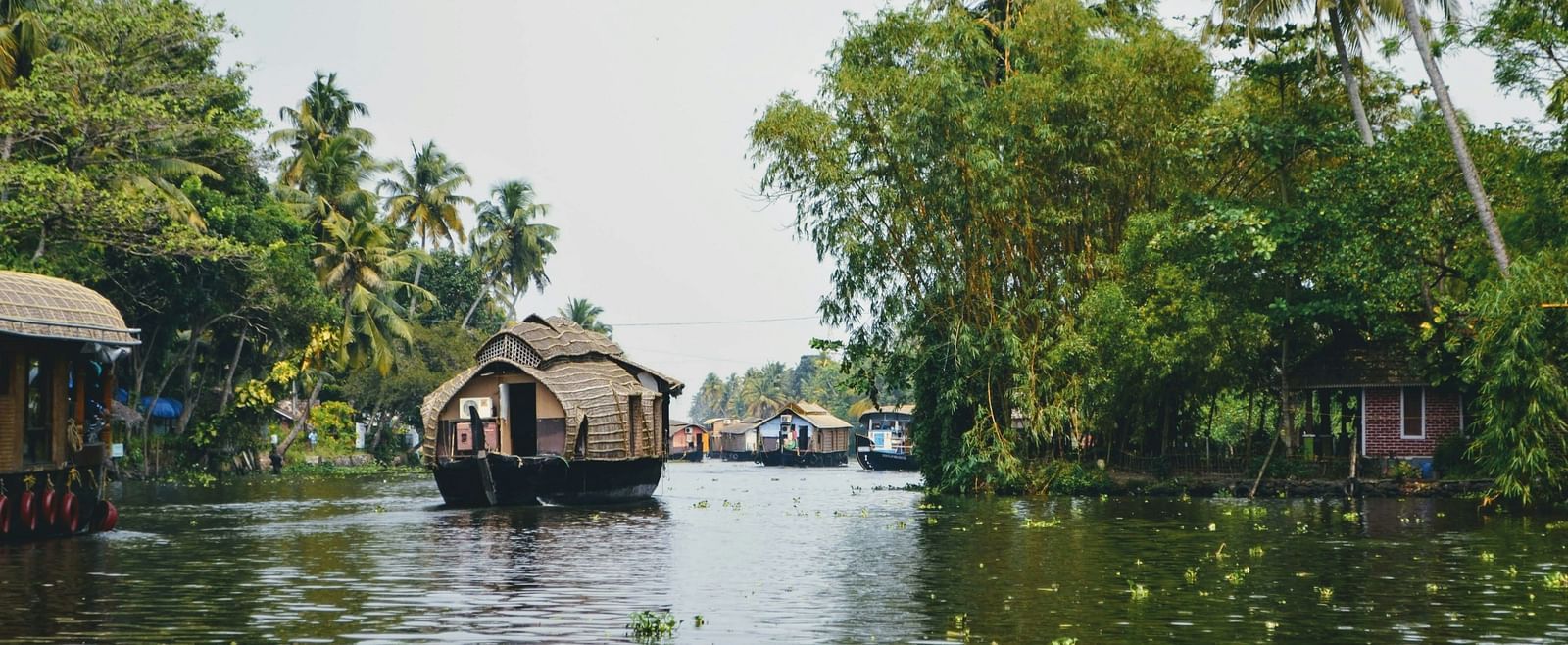 An image of a house boat on a water body surrounded by lush greenery