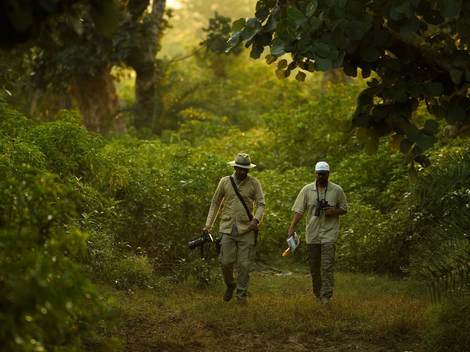 An image two men walking amidst green a forest - An image of a jeep parked amidst the rocky mountains - Utsav Camp Sariska
