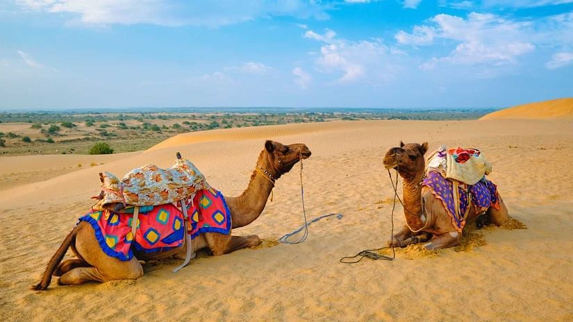 camel-sand-dunes-thar-desert-sunset-jaisalmer-rajasthan-india 