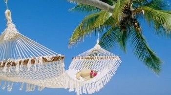 A beach hammock with a hat tied to a bent palm tree near Hotel Mamallaa Heritage, Mahabalipuram, with the ocean in background.