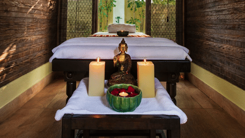 Chakra Spa in Bhopal-Jehan Numa Palace-Bhopal Palace