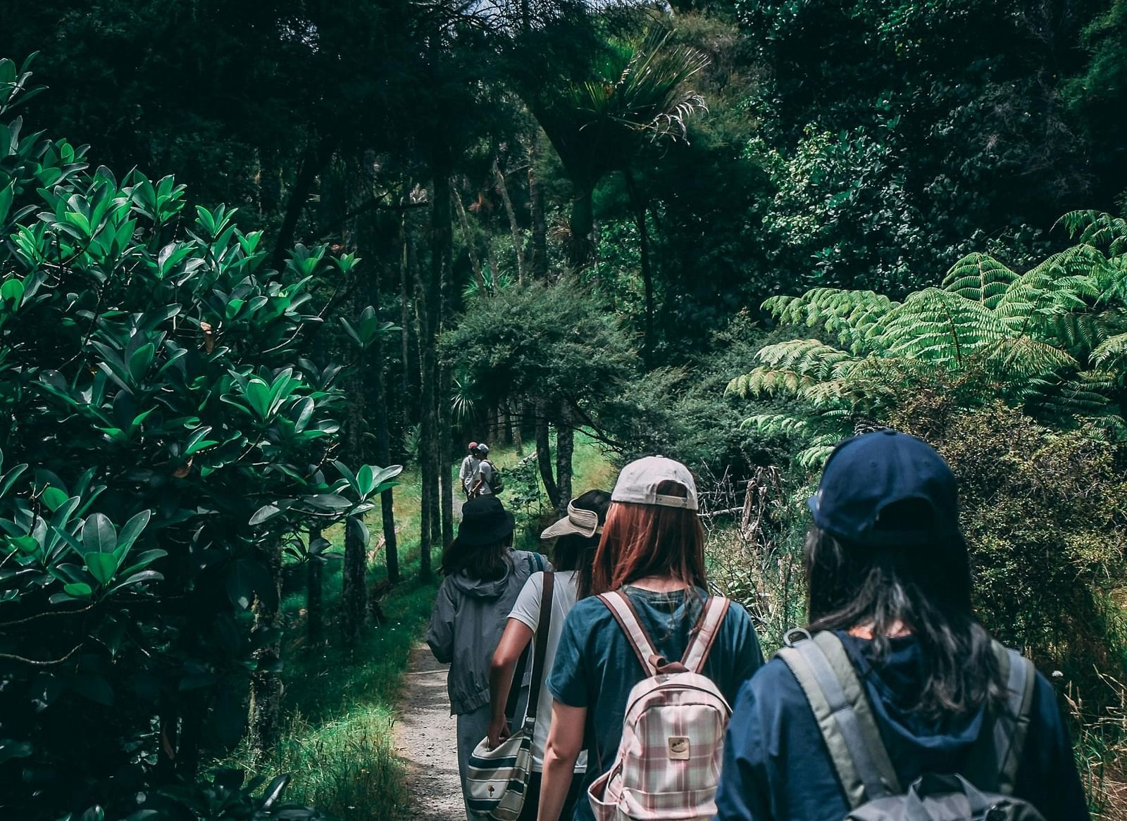 People walking on a narrow path through dense green forest.