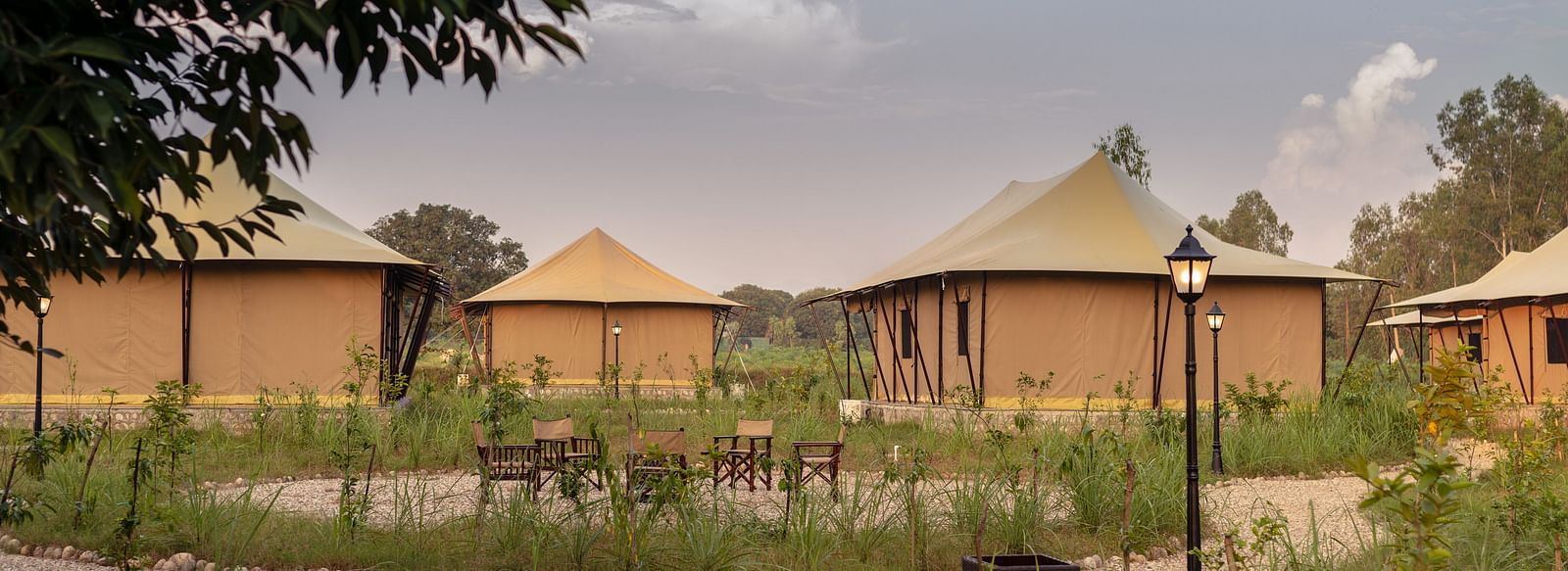 facade image of the tents with surrounded by plants - Aalia Jungle Resort & Spa