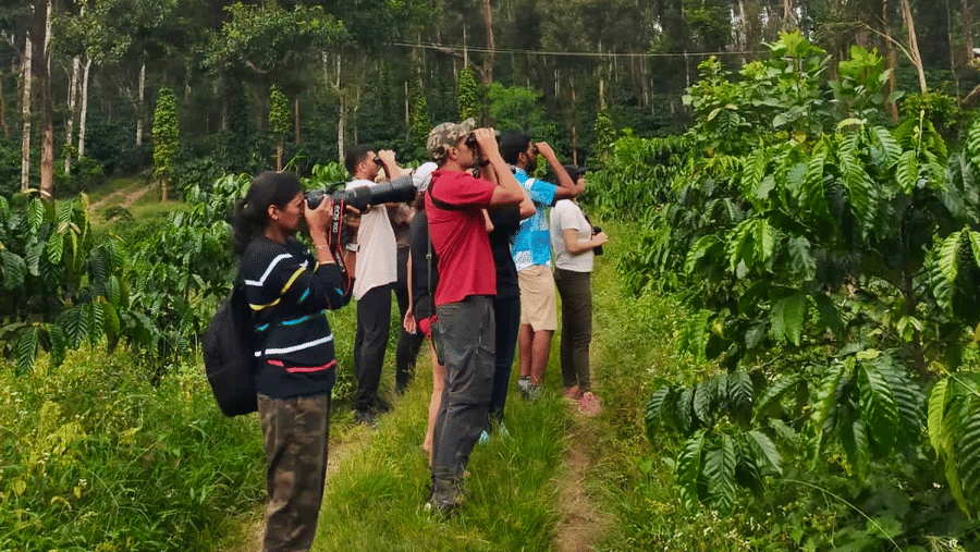 Visitors photographing wildlife at Nagarahole National Park.