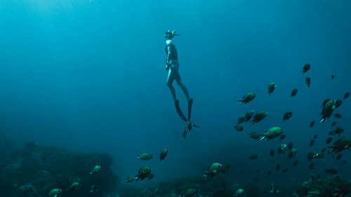Underwater shot of a diver swimming among fish over a coral reef.
