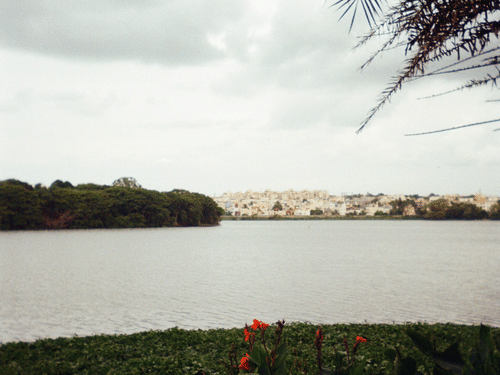 Lakeside view with grassy banks and distant shoreline beneath a cloudy evening sky