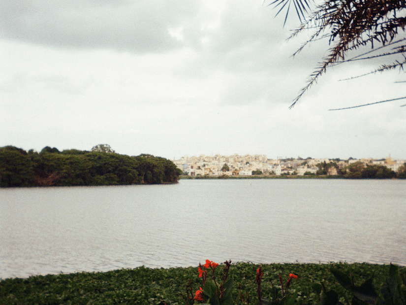 Lakeside view with grassy banks and distant shoreline beneath a cloudy evening sky