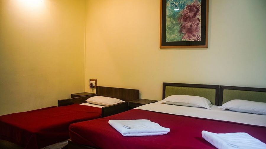 Tree Top Interior - Sajan - Nature Trails Sajan Tree Top AC Rooms providing a unique stay experience high above the forest floor.