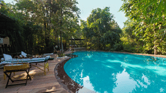 Swimming pool at Reni Pani Jungle Lodge- near Satpura National Park 1qed