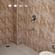 Cottage Rooms Hotel Manali Continental Manali 15 vptsgn