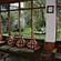Lobby and Reception Hotel Manali Continental Manali 1 shu5yg