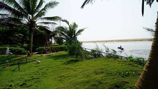 An image of  an open green land with coconut trees overlooking the beach 