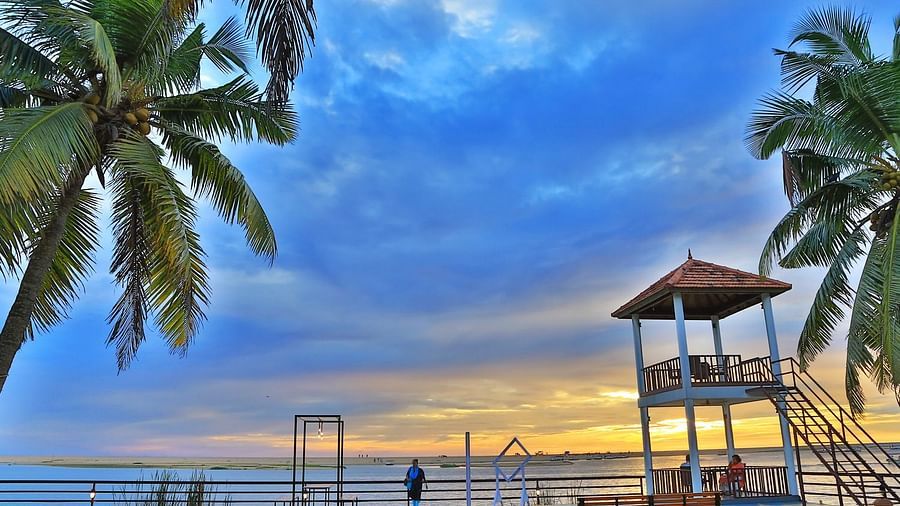 Estuary Poovar Island 35