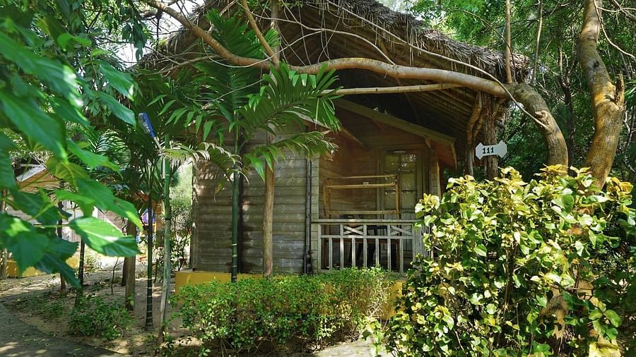 Konark Resort  Lotus Eco Beach Resort with plants and trees.