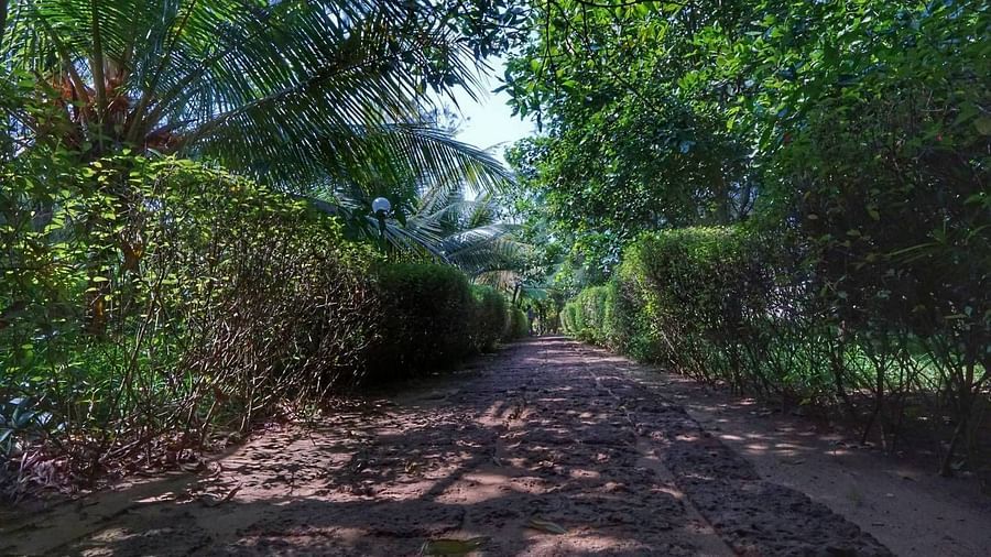 path to the Lotus Eco Beach Resort private beach