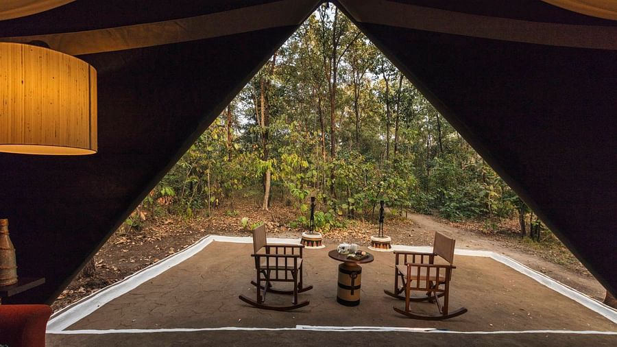 luxury tent-Reni Pani Jungle Lodge-satpura National park and reserve 5 ul4ayu