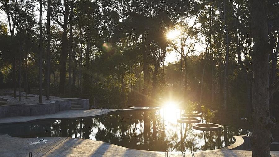 The Birchwood Retreat - view of the property swimming pool in the morning