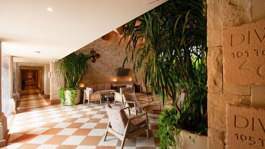 A wide-angle shot of the Suenos de Cafe at the Evren, Vagator, with green indoor plants kept in the corridor along with chairs.