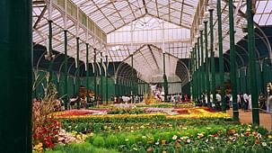 Serenity Inn Group  lalbagh