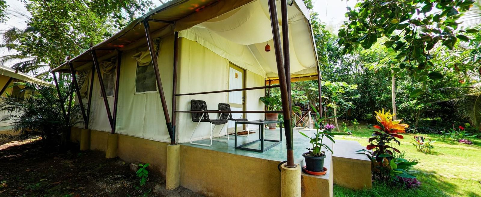 Exterior view of a yellow tent surrounded by greenery and lawn area at Fireflies Resorts, Kabini.