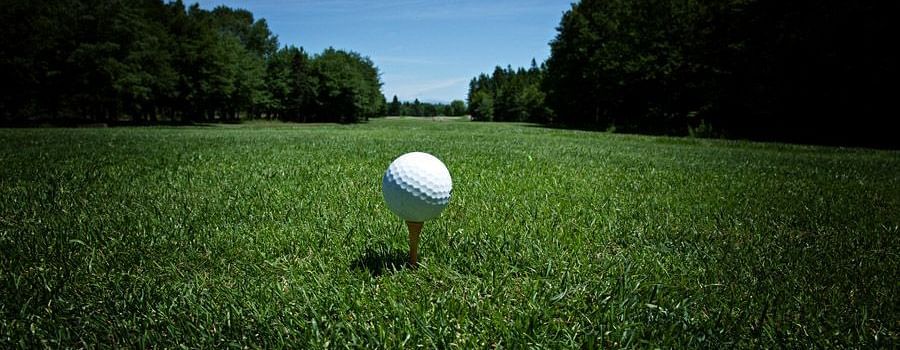 A close image featuring a golf ball placed on a tee, surrounded with trees and captured in the day ligtht.