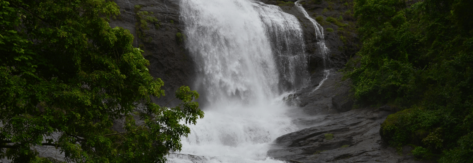 A scenic view of a lush green forested hillside with a natural waterfall.