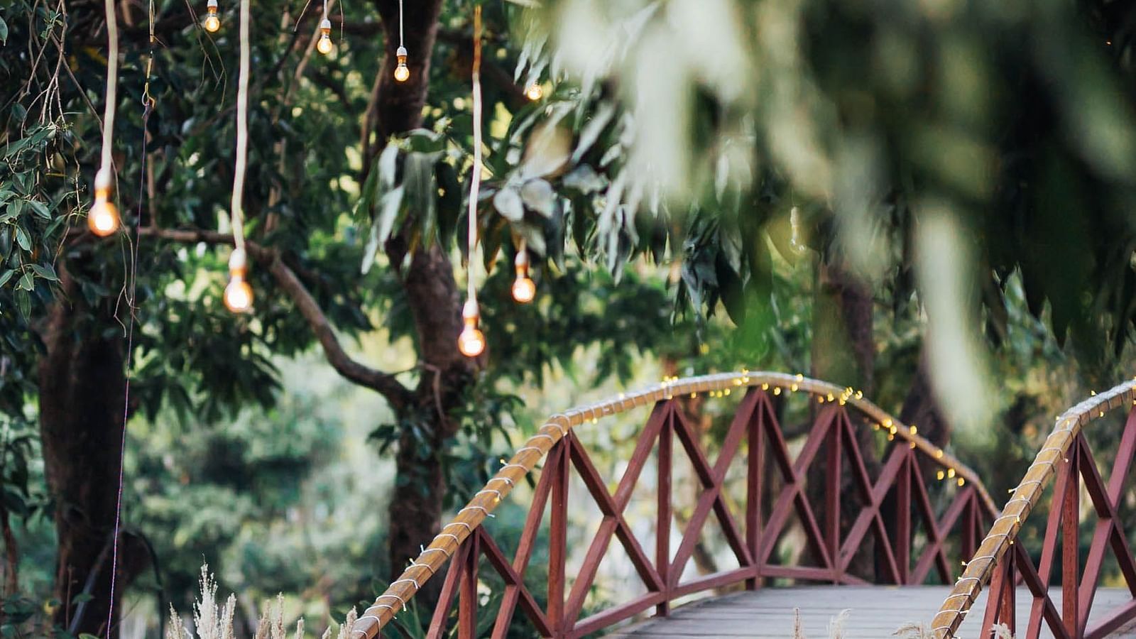 An image of a bamboo bridge in a forest area