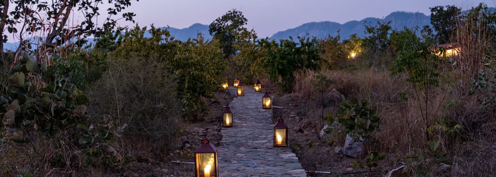 An image of a stone pathway surrounded by lanterns and greenery on either side
