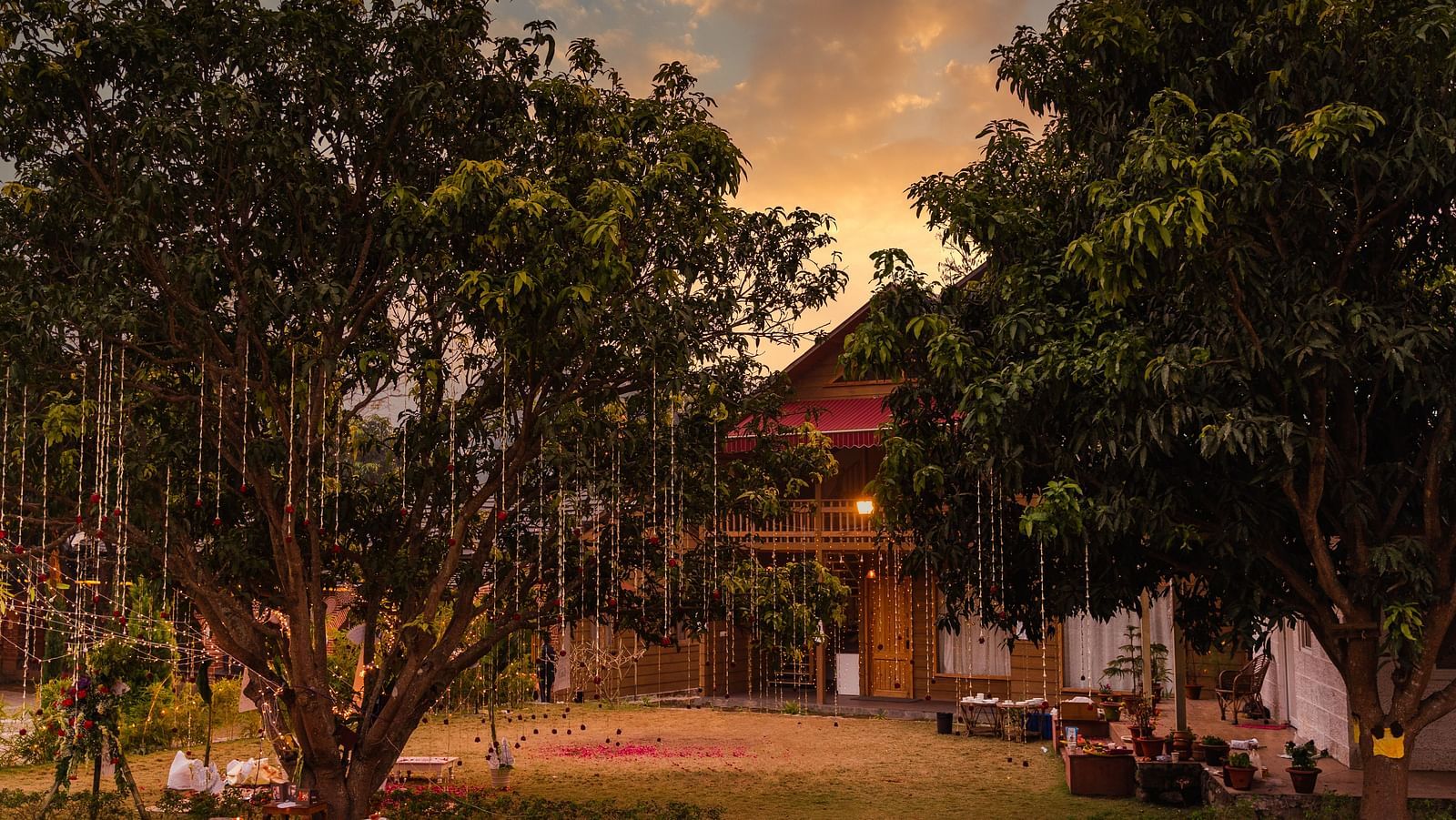 Decoration of trees in front of the Pinewood Cottage at The Sylvan Retreat, Dehradun.