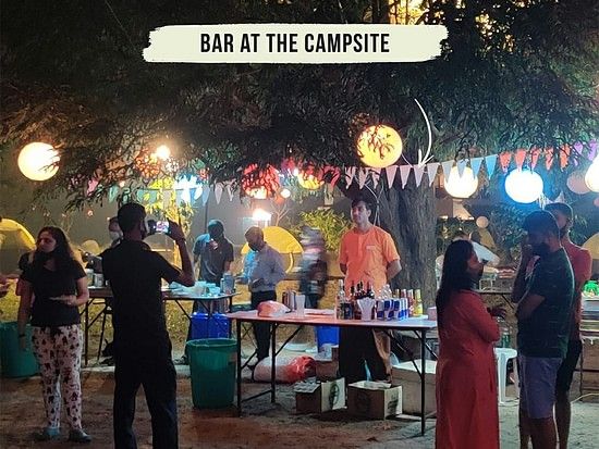 Tropicana Bandcamp 15