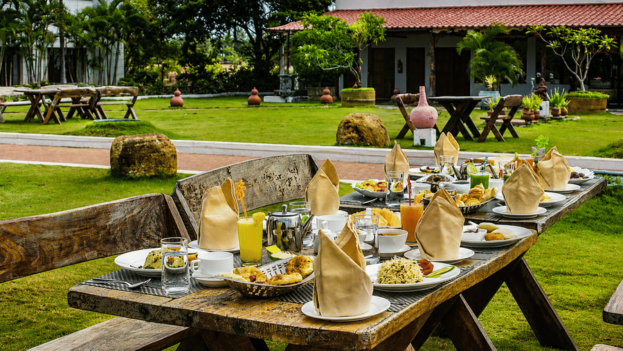 Outdoor dining table set with plates, napkins and drinks on a garden lawn at Chariot Beach Resort.