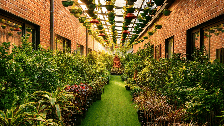 A grassy walkway lined with lush potted plants and hanging pots beneath brick walls inside the Greenhouse at MAYFAIR Bay Resort, Paradeep.