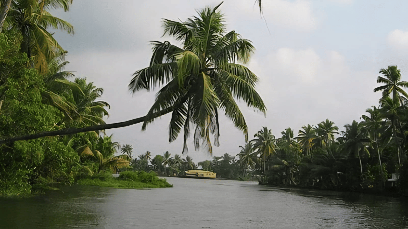 Scenic backwaters with an overhanging coconut palm tree and a traditional houseboat visible in the distance.