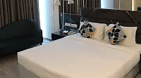 A neatly made bed with decorative pillows is showcased. Curtains frame the window with a soft lighting.- Golden Suites, Gurgaon