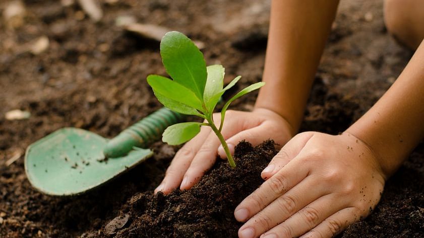 kid gardening