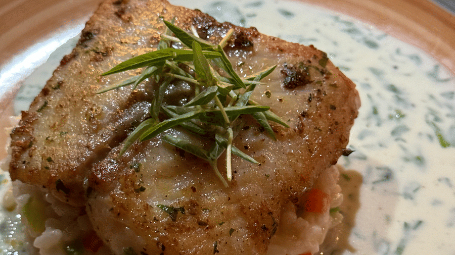 A plated dish of savoury food, garnished and served on a patterned plate at Cenneys Gateway - Pride of Salem.