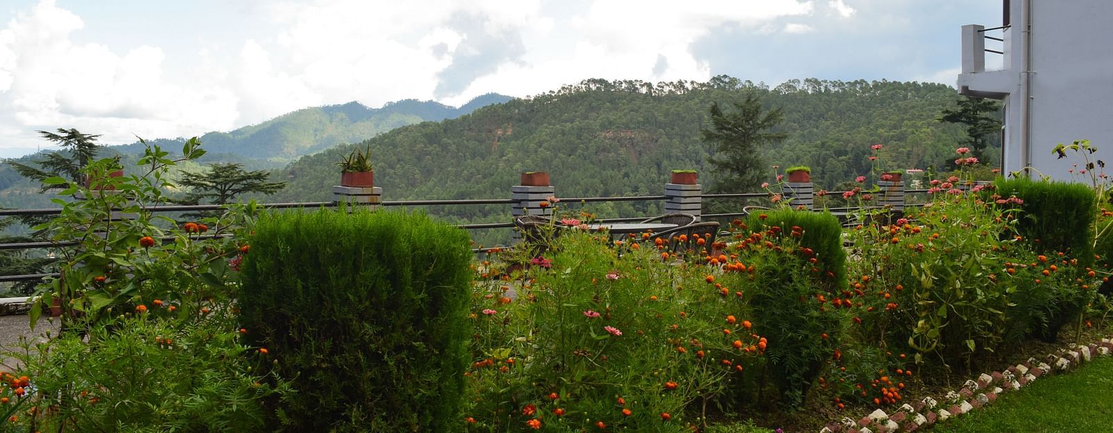Garden area outside the hotel with lush greenery and a cloudy sky.