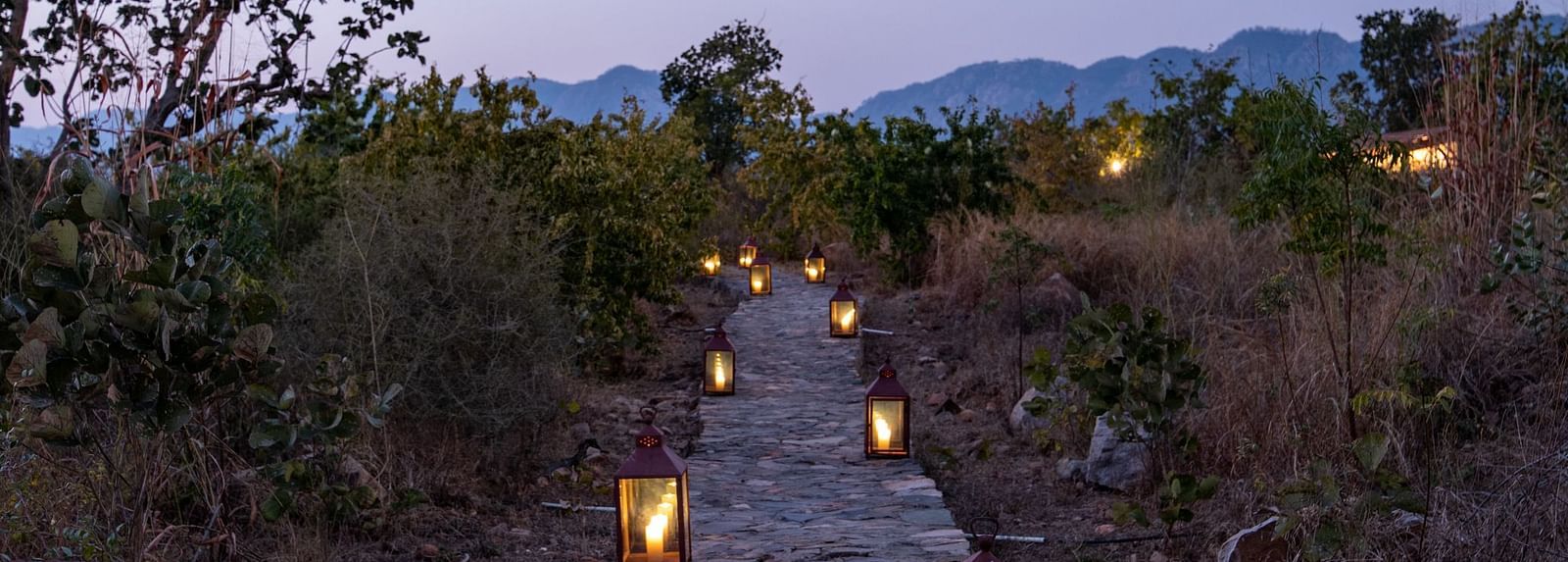 An image of a stone pathway surrounded by lanterns and greenery on either side