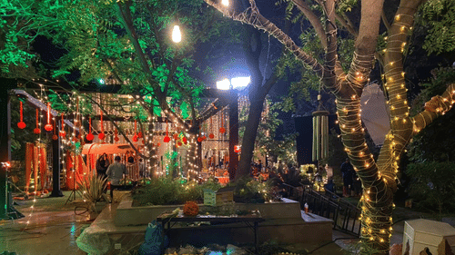 Trees decorated with lights for an event - Karma Lakelands.