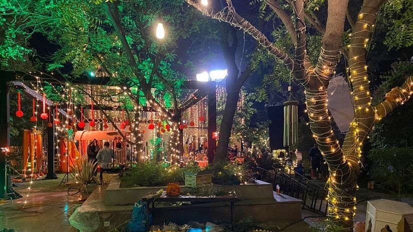 trees decorated with lights for an event at Karma Lakelands