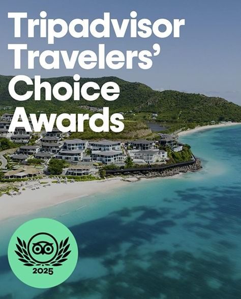 A promotional image featuring the 'Tripadvisor Travelers' Choice Awards' logo against a scenic backdrop of a beach and resort buildings.