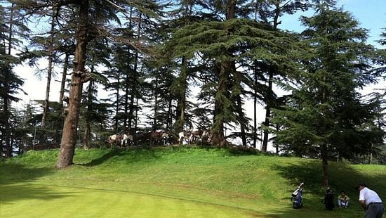 Naldehra-Golf-Course shimla