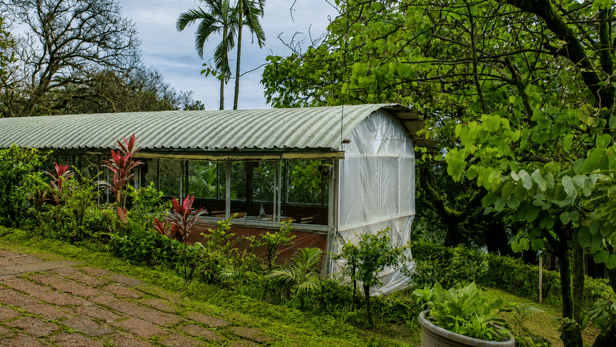 Glass greenhouse with a pitched roof beside a paved pathway and landscaped garden, surrounded by trees at Wind Chalet.