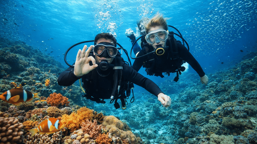A couple of scuba divers underwater near reefs with fish swimming around