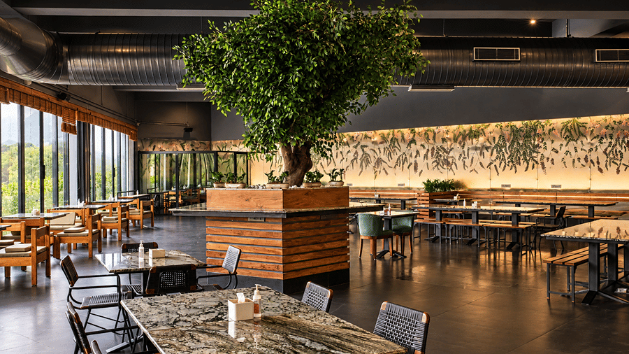 A restaurant at Clarks Amer, Jaipur, including tables, chairs, and trees placed in a dining setup.