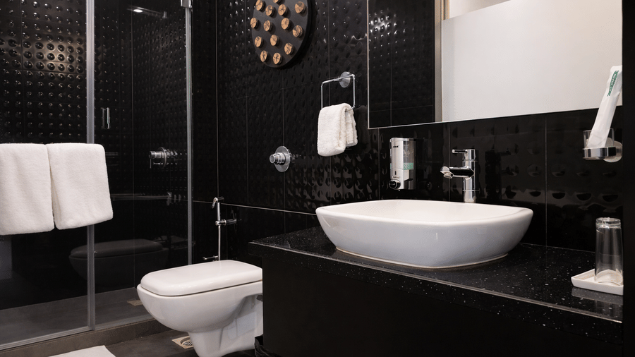 Washroom Image of Dragonfly Hotel