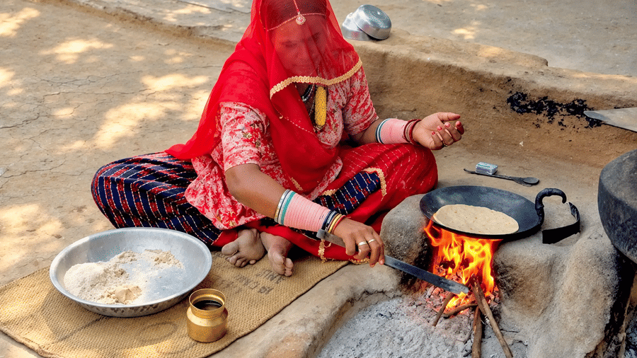 Village Experience-Umaid palace dausa