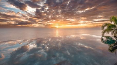 A serene tropical sunset over the ocean with a reflection of the sky on the water and a palm tree visible on the right.